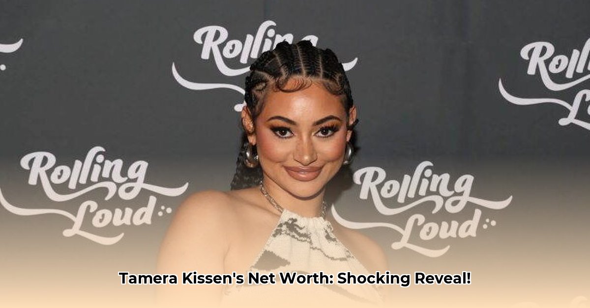 tamera-kissen-net-worth